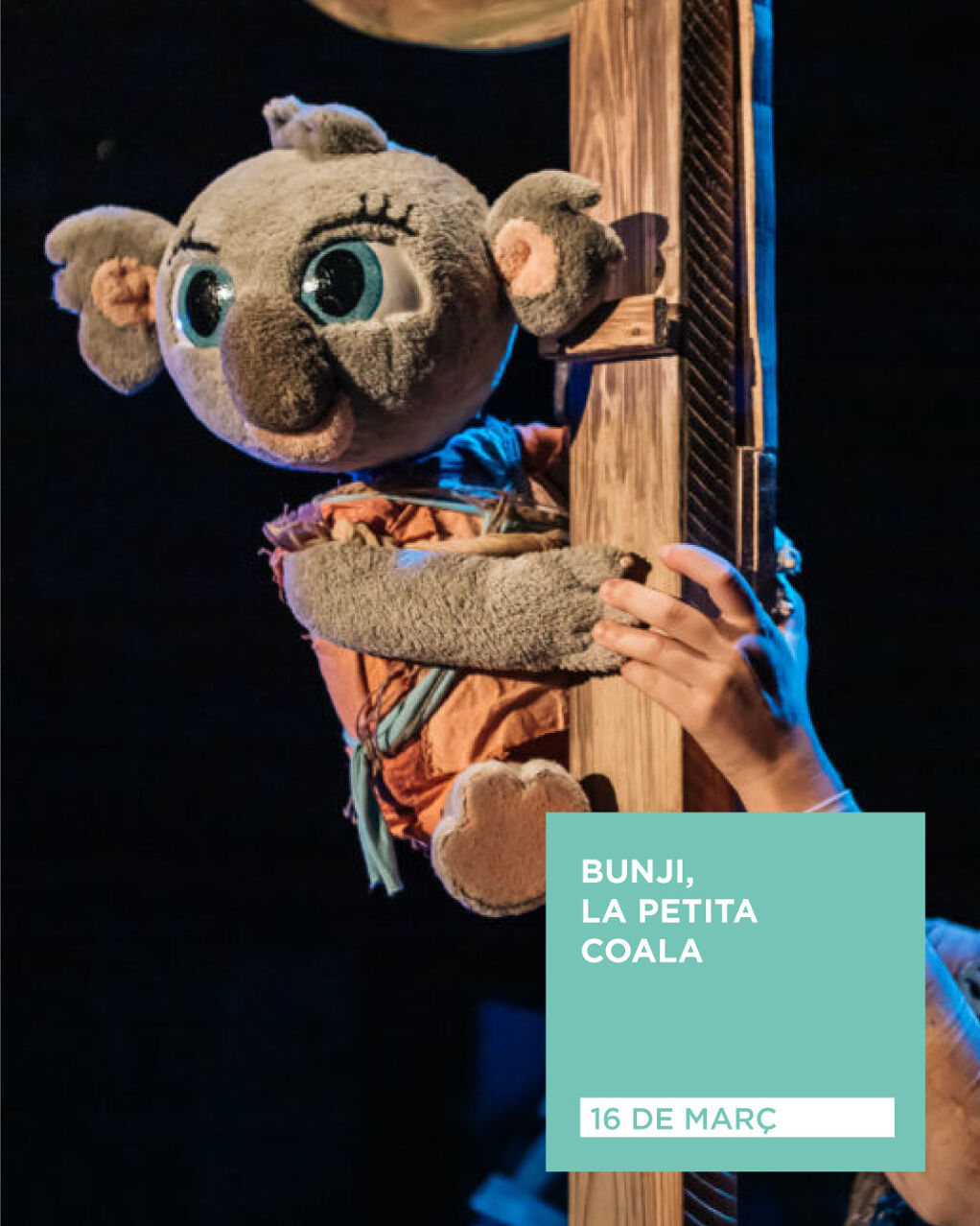 Bunji, la petita coala - bunji-escenaris.jpg