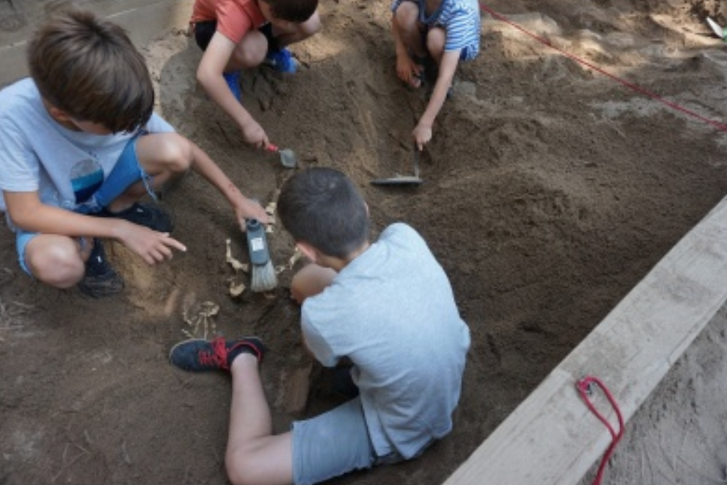 Taller d'arqueologia per famílies - captura-de-pantalla-2024-06-11-a-les-12.57.17.png