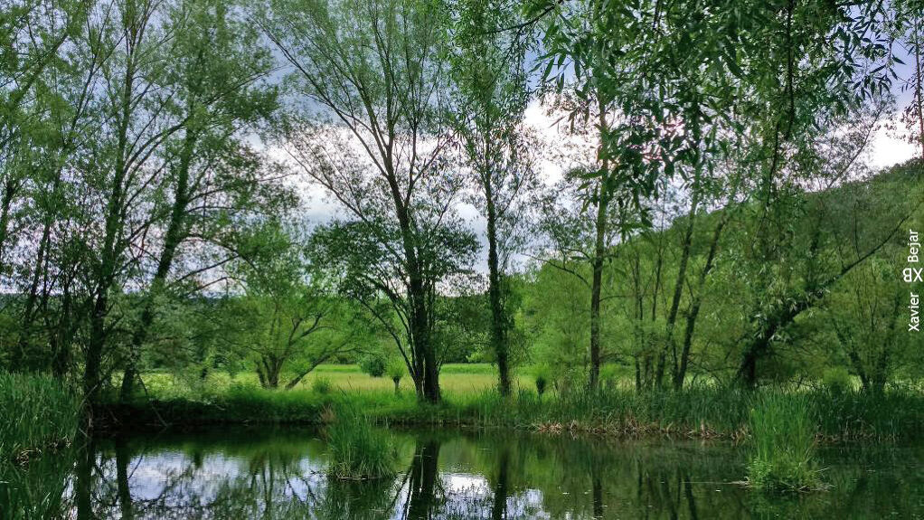 Tastets de natura a la Garrotxa - img_20160530_175414_hdr_102.jpeg