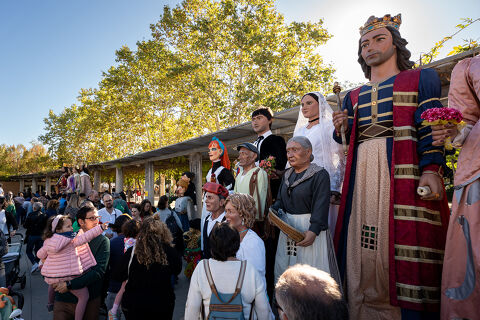 XLIII Trobada de Gegants i Bestiari 