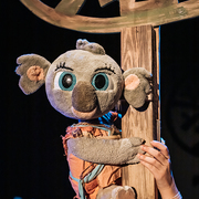 Bunji, la petita koala - 04_bunji--festuc-teatre.jpg