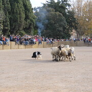 Fira de Sant Andreu - 231126_firastandreu_concursgossosd-atura_xmt--5-.JPG