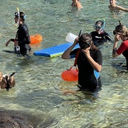 Snorkel Botànic - sonrkel-02_comp.jpg